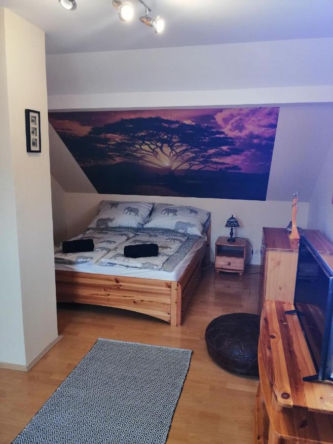 Elza Apartman Makó Esterno foto